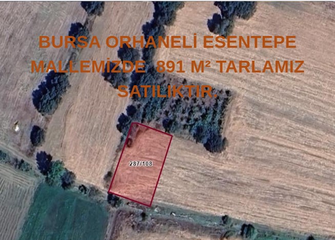 BURSA ORHANELİ ESENTEPE MALLEMİZDE  891 M² TARLAMIZ SATILIKTIR. - BURSA ORHANELİ fotoğraf 6